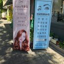 뽀글보글 | [수원 권선구/곡반정동]뽀글보글&눈썹| 속눈썹펌 후기