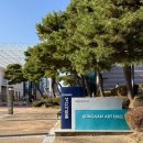 대덕가든 | 251129 창원 선우정아 카더가든 힐링보이스 후기