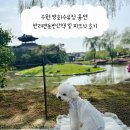 용연 | 수원 방화수류정 용연 반려견동반산책 및 피크닉 후기