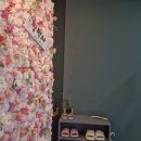 유한회사 코리아산전 | 부산 명지 산전 산후 마사지 짱박사뷰티 출장 가능 후기