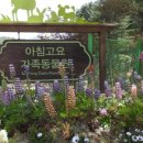 고요목장 이미지