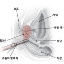 서울스타비뇨기과의원 이미지