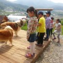 하연영재과학교습소 - 서초구 신반포로 165 | 하연영재과학교습소