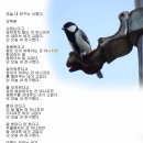 3월 마지막 날 인사말 이미지