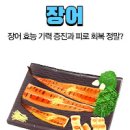 장어 효능 부작용 장어 칼로리 여름철 보양식 이미지