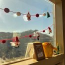 상도힐링동물병원 이미지