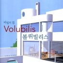 몰막스