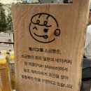 오일스타㈜ | [용인/기흥아울렛맛집] 겉바속촉 소금빵맛집 시오팡야 포장 후기