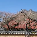 백양사(순천) 이미지