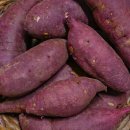 단짝스토어 이미지