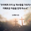 당신의 나이는 몇살입니까?(신축년) 이미지