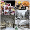 대경 공인중개사사무소 | 2024년 2월 19일~25일 소소한 일상 + 대설주의보 과천 문원청계마을 구경&amp;맛집 탐방