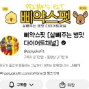 디앤핏(D&Fit Fitness) | 유지어터10년차 모모제인이 하는 운동리스트🔥