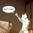 일가정양립지원본부실내수영장 이미지