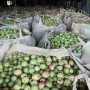 충북원예농협가공공장 이미지