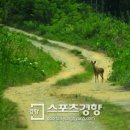 예향의 숲 이미지