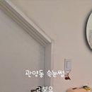 리본유