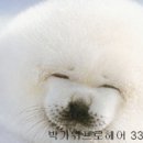 박가위헤어