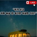 황동카정비 | 1955 알파 로메오 T10 복각 캠핑카: 올리브&amp;크림 실물, 진짜 미쳤다