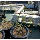 정만농장 이미지