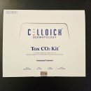 셀디치 톡스 CO2 키트 피부관리 후기 트러블피부 피부결 얼굴형관리 한 번에 잡는 홈케어
