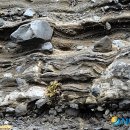 자연과학대학 3호관 이미지