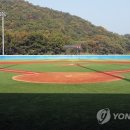 장흥생활체육공원 야구장 이미지