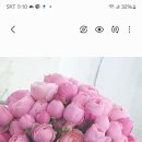 마리아꽃집