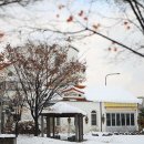 신동수변 이미지