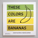 다 보이는 세상 이미지