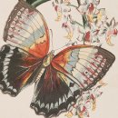 더숨 운동연구소 이미지