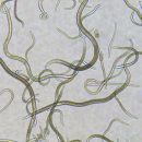 소나무돼지국밥 이미지