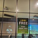 힐링스크린 골프연습장 | 퇴근 후 힐링 공간, 목동실내골프연습장 방문 후기!