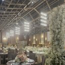 씨엔화이트 | W5) 광주 드메르 웨딩홀 계약 상담 후기 (2027 상반기 견적 공유)