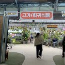 바위실 | [파주 가볼만한곳] 식집사라면 필수방문코스, 초보의 찐 구매후기 &lt;조인폴리아&gt;