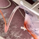 이중화비뇨기과 개방화장실 | 대퇴골 골절 간병일기 1