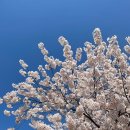 뮤즈힐여성의원 이미지