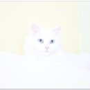 루시호텔 이미지