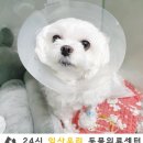 운정24시동물의료센터 이미지