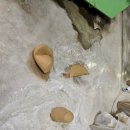 남지문화의집 | 문경찻사발축제가얼마 남지않았다.문경의 도자기를 알기 의하여 문경도자기 조선요등 방문후기