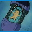 이성자농장 이미지