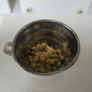 대일관광고등학교 이미지