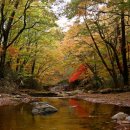 자작 캠핑장 이미지