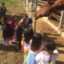 강화도산들애농원 캠핑장 이미지