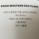 서재 흰둥이네 | 교보문고 NFC과일키링 + 이나피스퀘어 스티커북 &amp; 북커버 후기౨ৎ