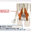 피트니스H PT 헬스 이미지