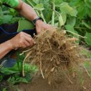 현제농장 이미지