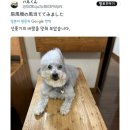 소소농장 이미지