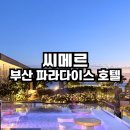 파라다이스 오션 스파 | 파라다이스 호텔 부산 수영장 씨메르 오션스파 겨울 방문 후기