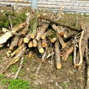 선재마을 이미지